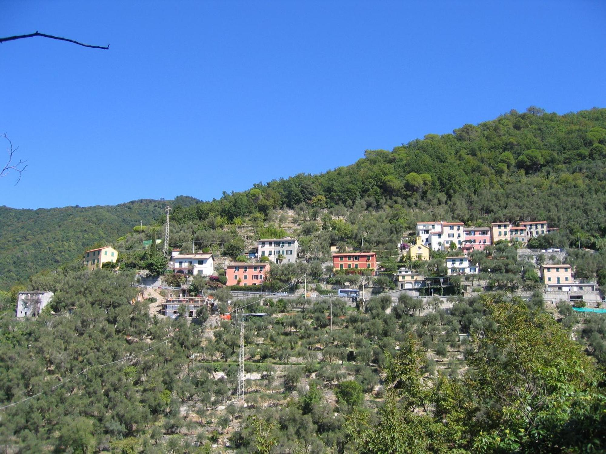 Affittacamere Cerisola 2003 Zoagli Exterior foto