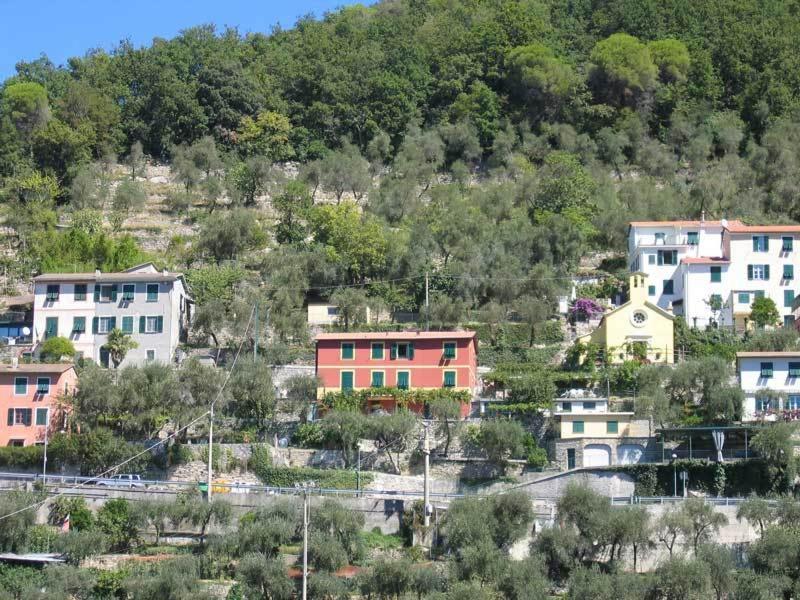 Affittacamere Cerisola 2003 Zoagli Exterior foto
